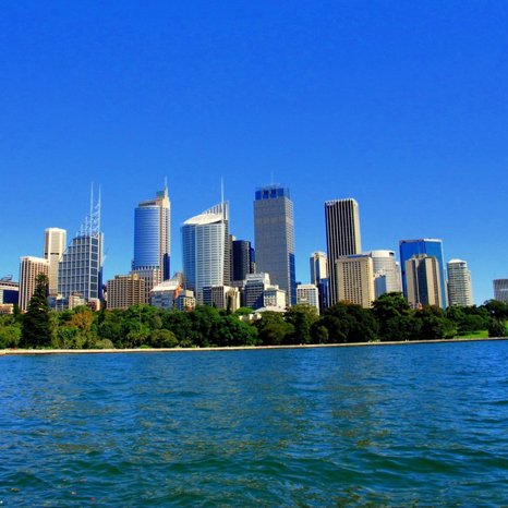 Taxonomy Featured Image