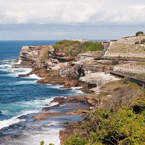 Taxonomy Featured Image